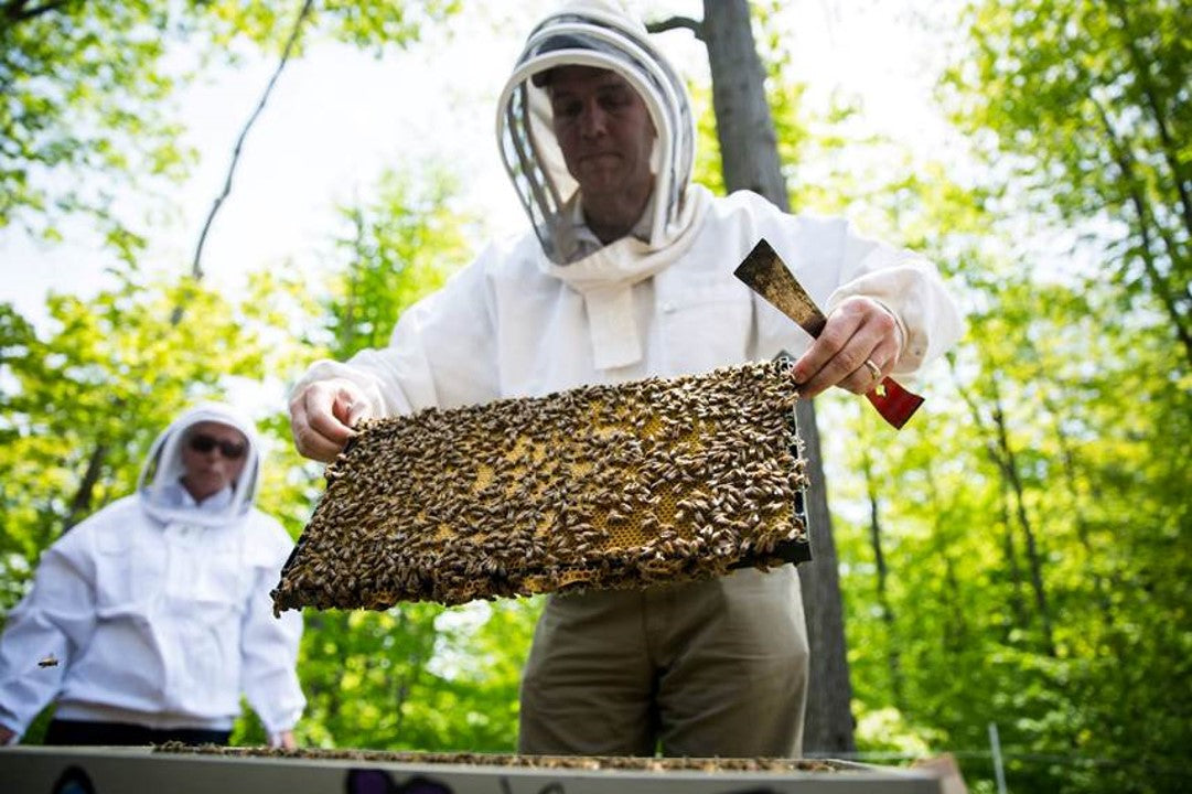 peter istvan as a beekeeper